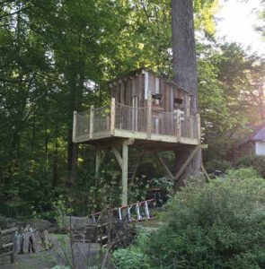 One Tree, Two Posts Treehouse Plan Image